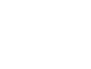Lead Turn Consulting